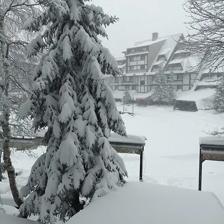 Apartment Konaci Lux *